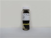 藏品(小雨燕)的圖片